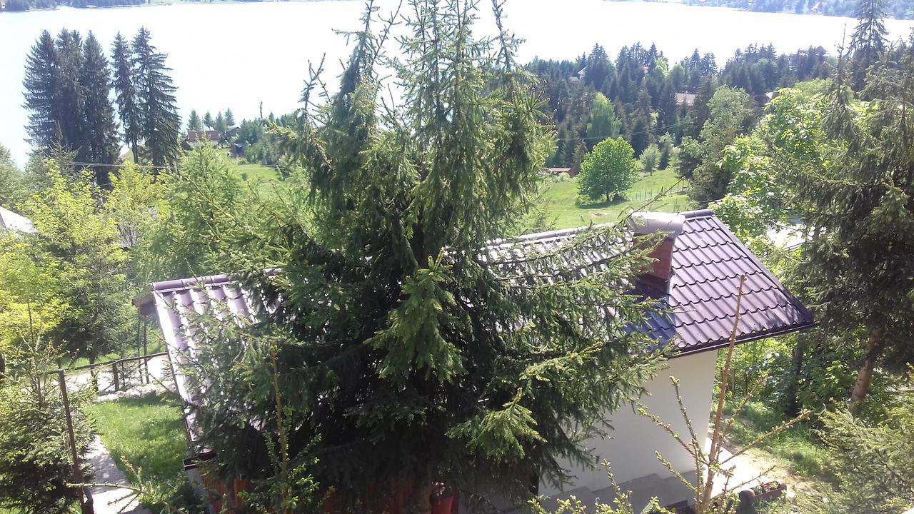 Casa Edy Hotel Kolibica Kültér fotó