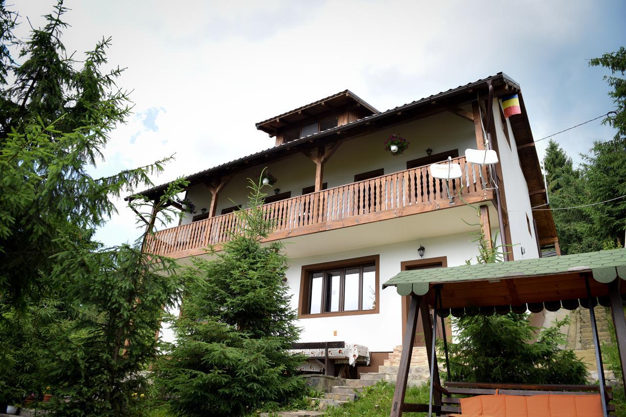 Casa Edy Hotel Kolibica Kültér fotó