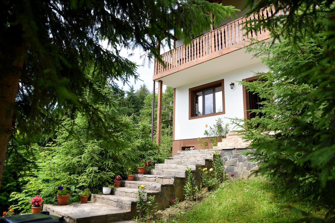 Casa Edy Hotel Kolibica Kültér fotó