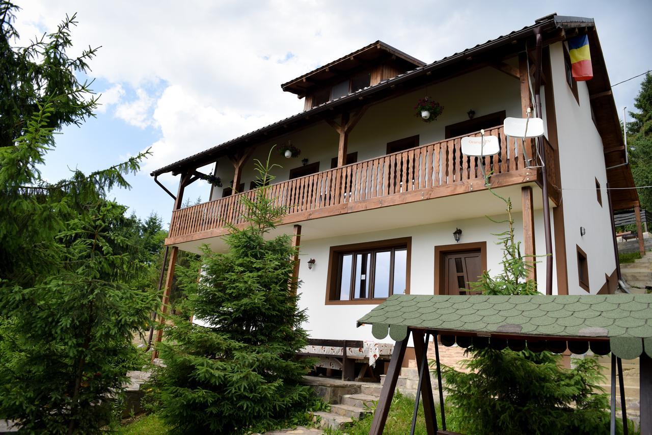 Casa Edy Hotel Kolibica Kültér fotó