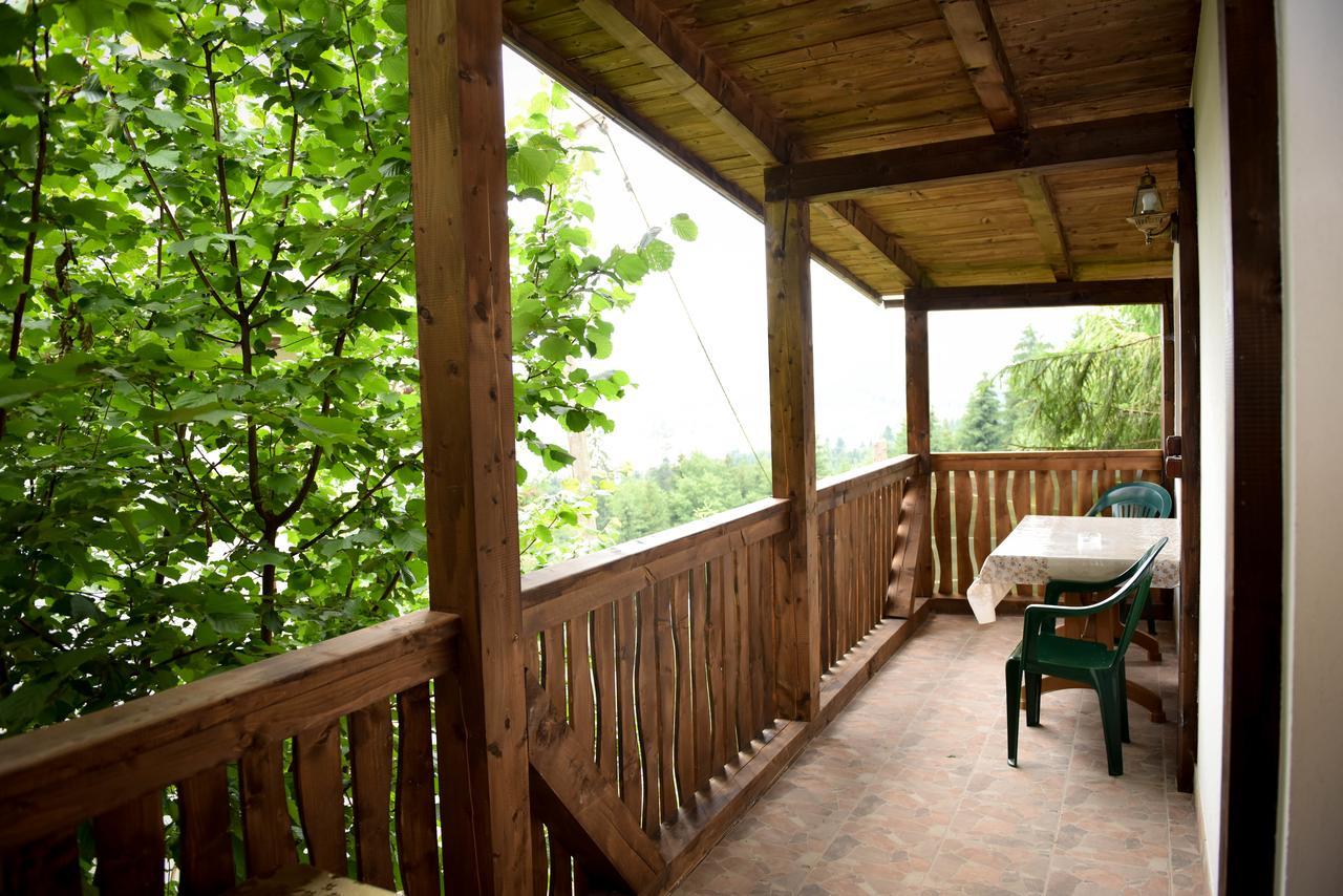 Casa Edy Hotel Kolibica Kültér fotó